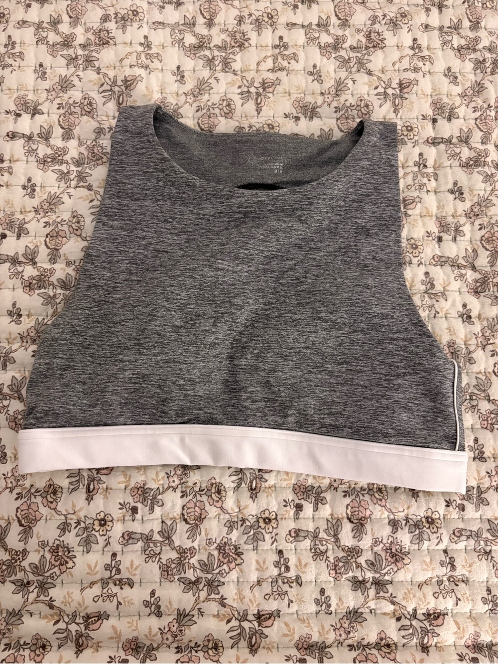Aerie Sports bra